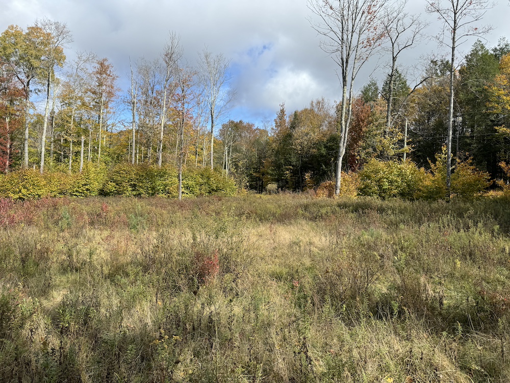 Land for Sale 0 Pleasant Way, Pleasant Mount, PA 18453 3 acres